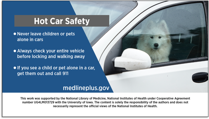 Hot Car Safety
