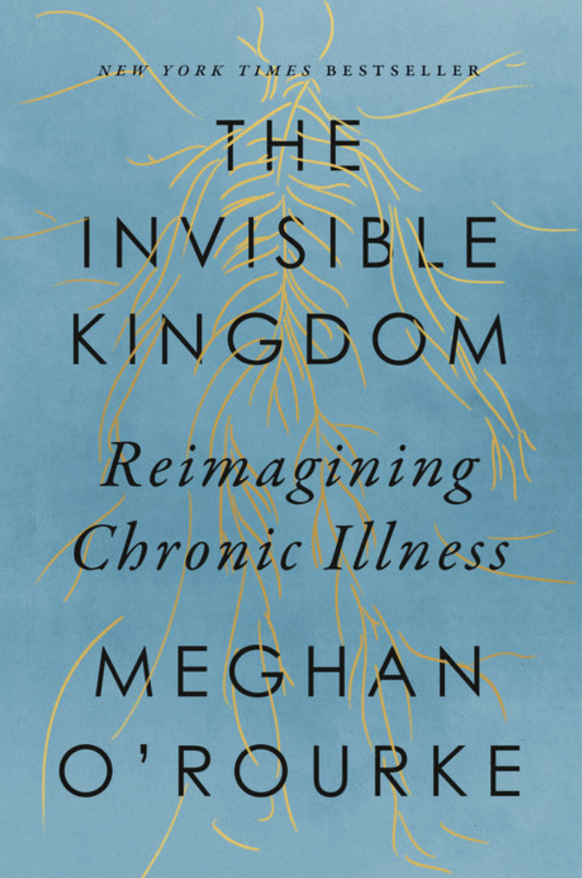 The Invisible Kingdom book cover image