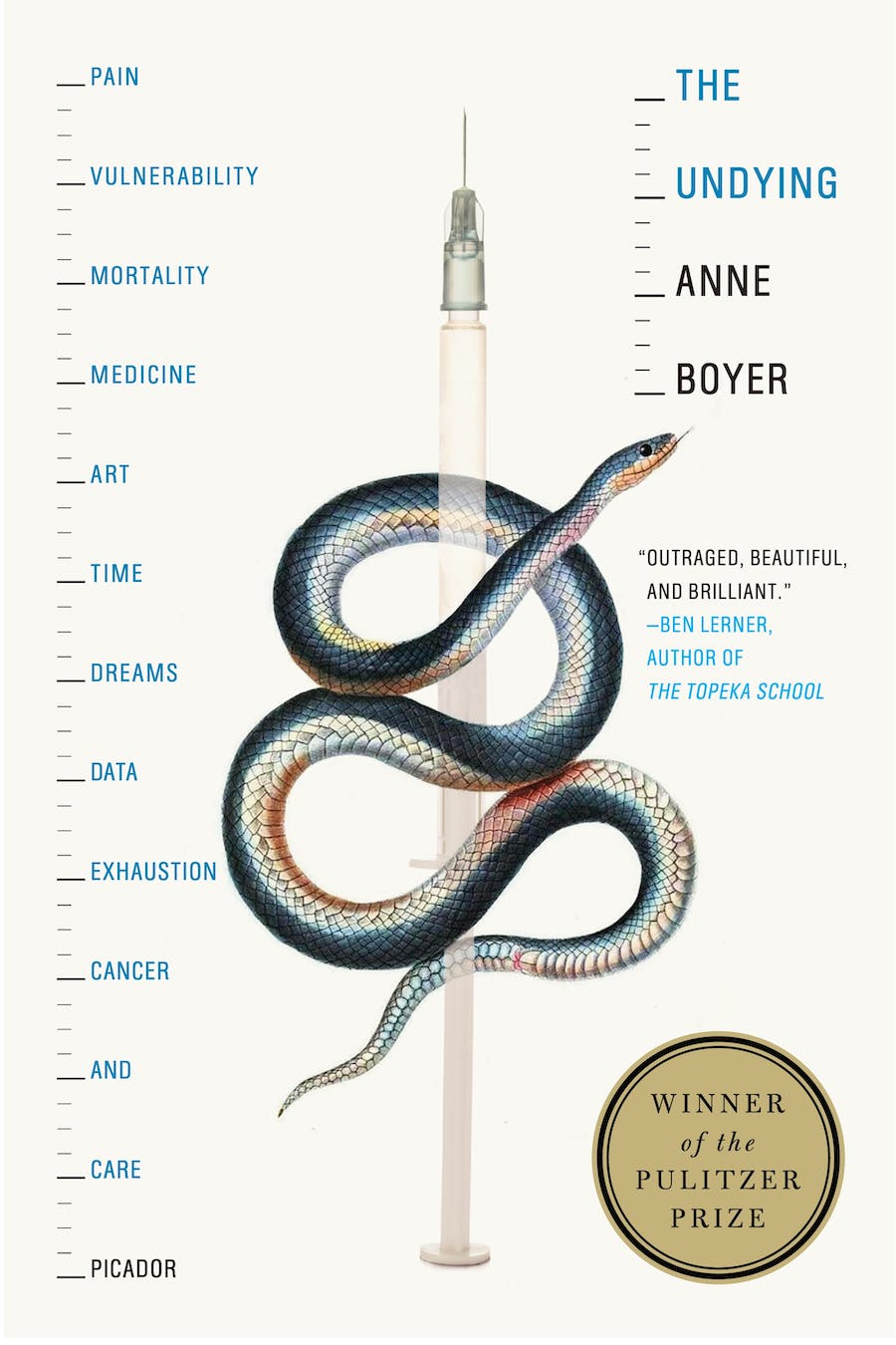 The Undying book cover image